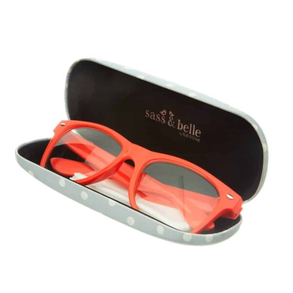 LOU035-barney-the dog-glasses-case-use Barney The Dog Glasses Case
